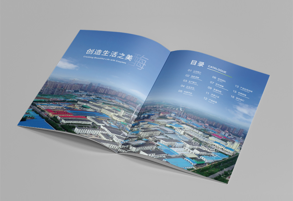 浪潮集团合作宣传册设计