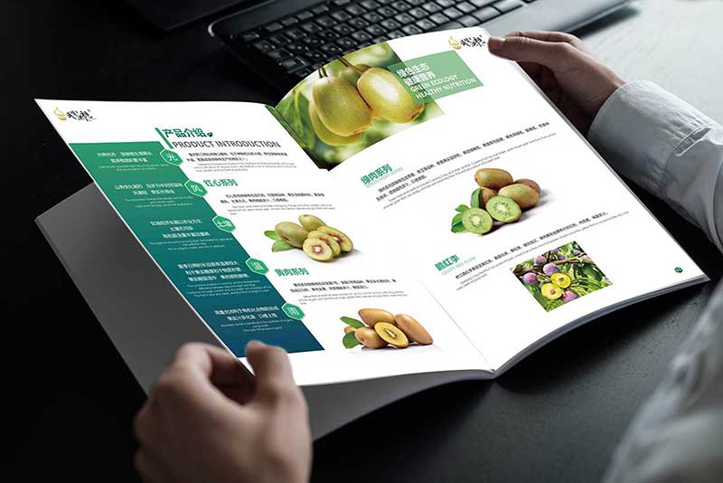 宣传册怎样触动受众内心深处